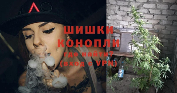 соль ск Заводоуковск