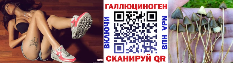 Купить Мурино Псилоцибиновые грибы мухоморы